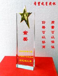水晶奖杯定制通用高档商务礼品比赛学生奖牌五角星奖杯刻字定做