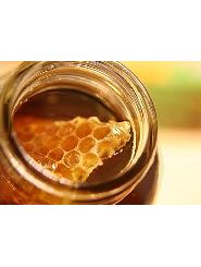 缅甸野生蜂蜜500g，大山中纯野生带蜂巢蜜，药用价值极高