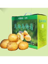 甘肃定西 特产 蓝宝信 定西马铃薯新大坪系列精品礼盒装 5kg/箱